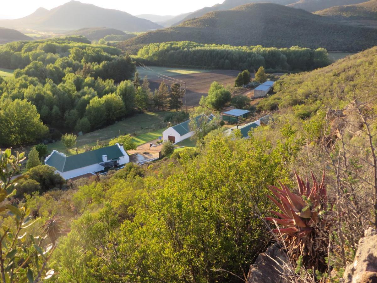 Bo Kouga Mountain Retreat Hotell Ongelegen Eksteriør bilde